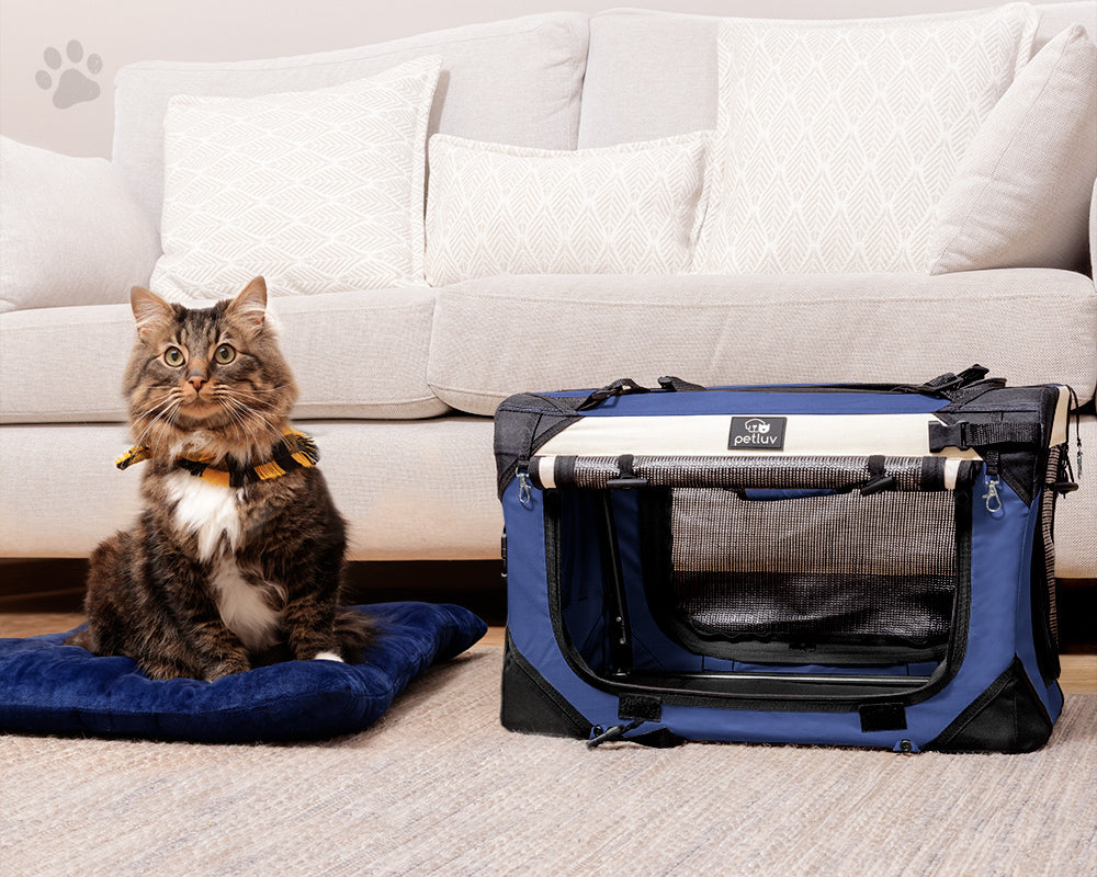 How Soft-Sided Carriers Can Help with Crate Training