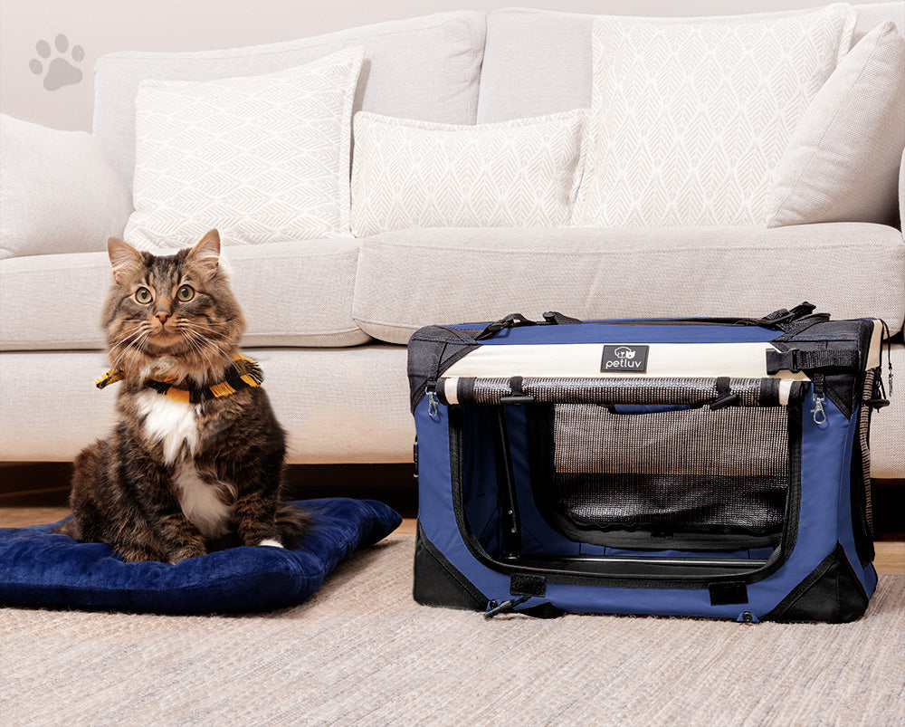 How Soft-Sided Carriers Can Help with Crate Training