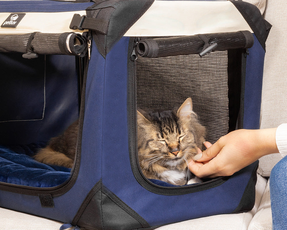 The Comfort Factor: Why Soft-Sided Carriers Are a Must for Cats