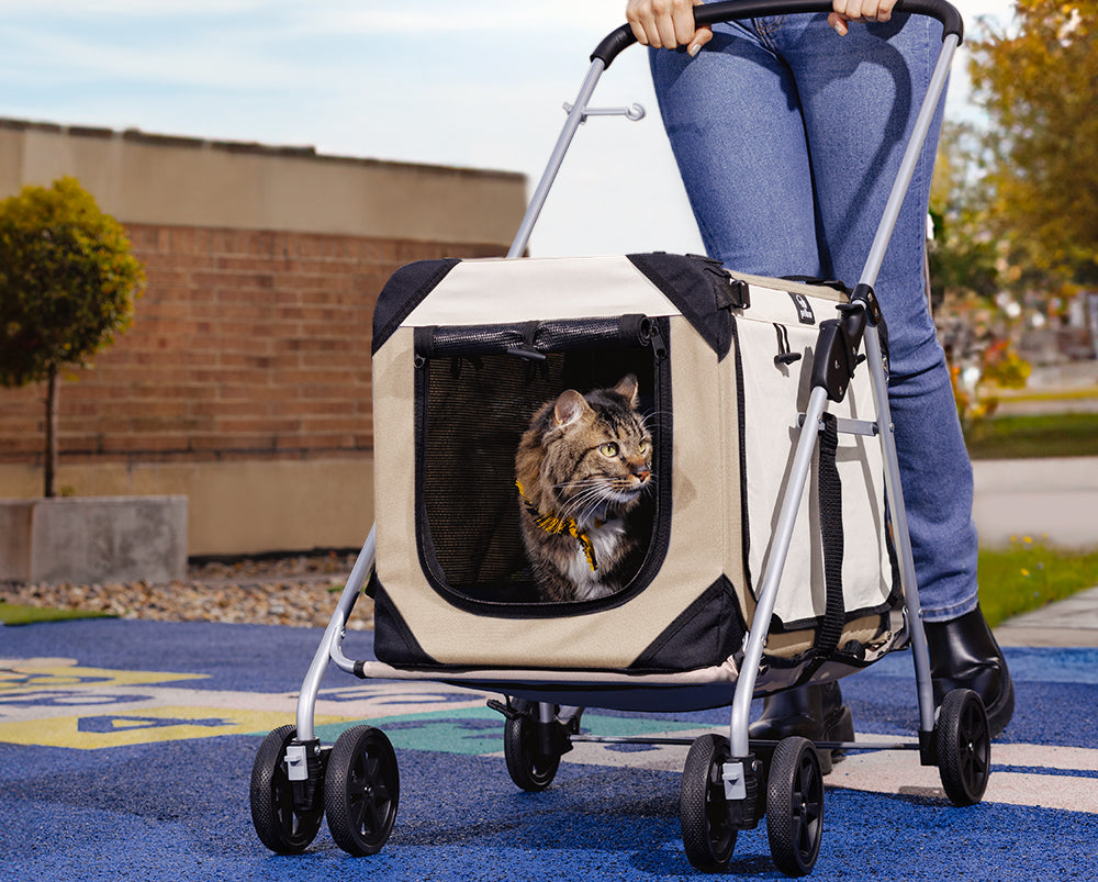 Pet Stroller Safety Tips for Every Adventure