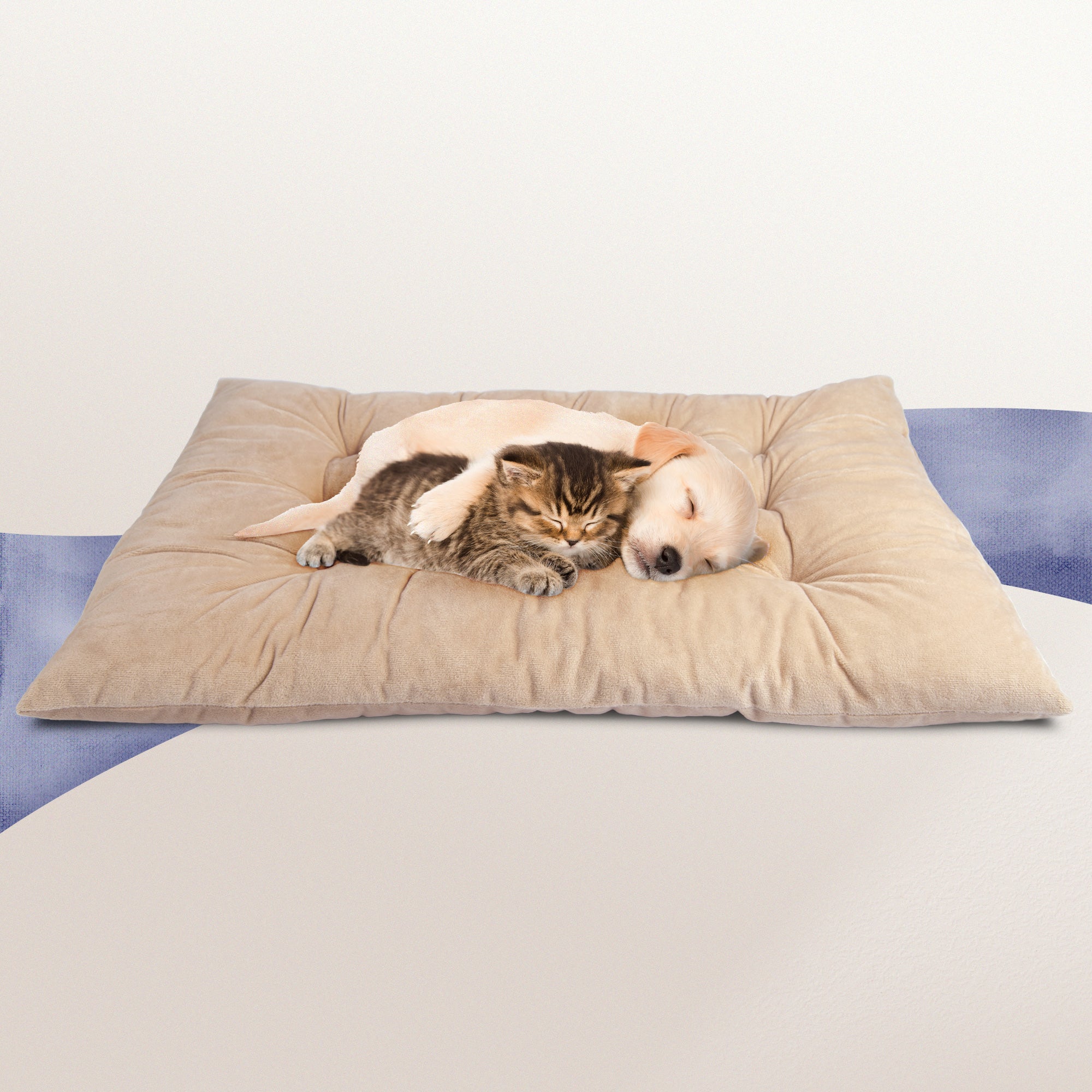 PetLuv Comfy Pillow/Bed