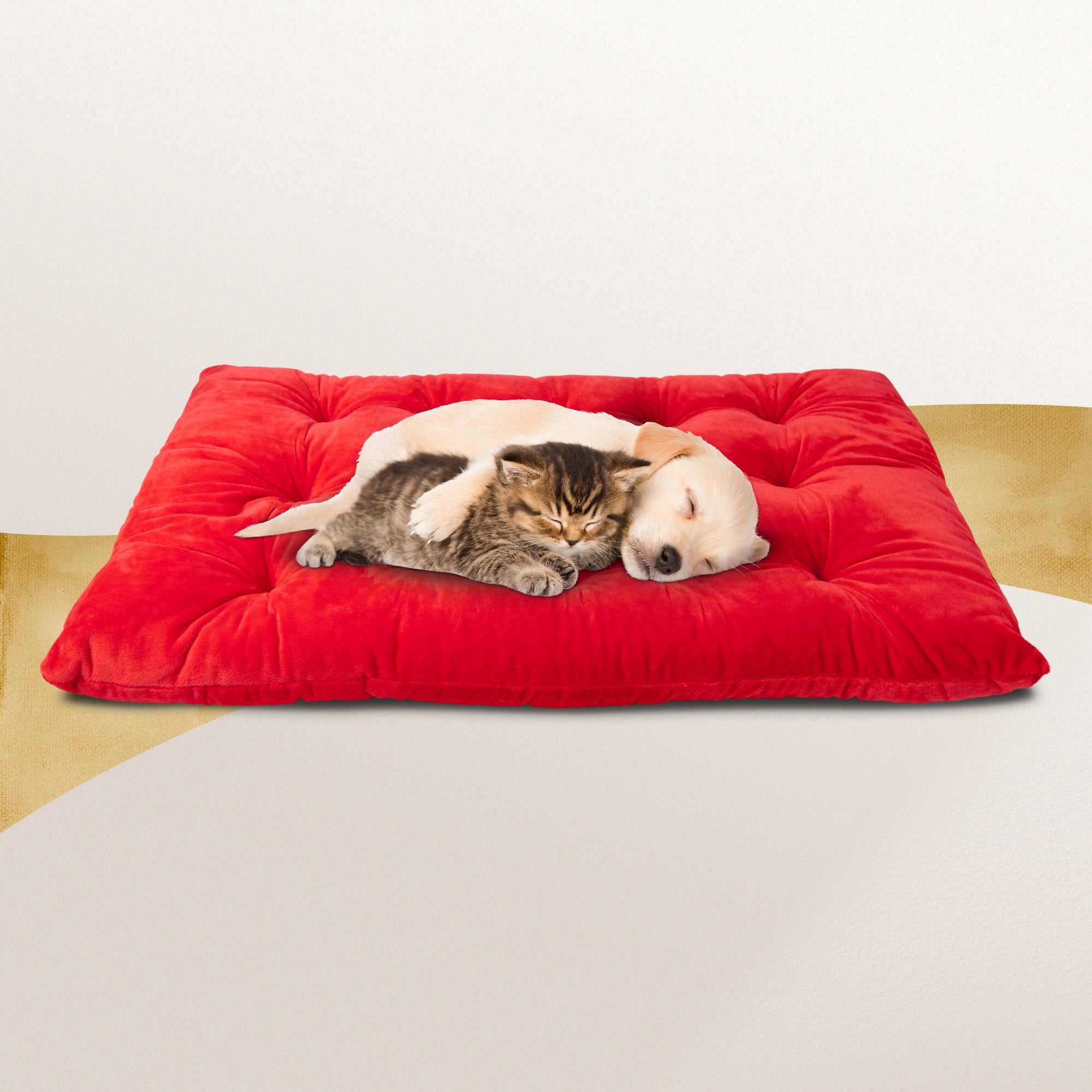 PetLuv Comfy Pillow/Bed